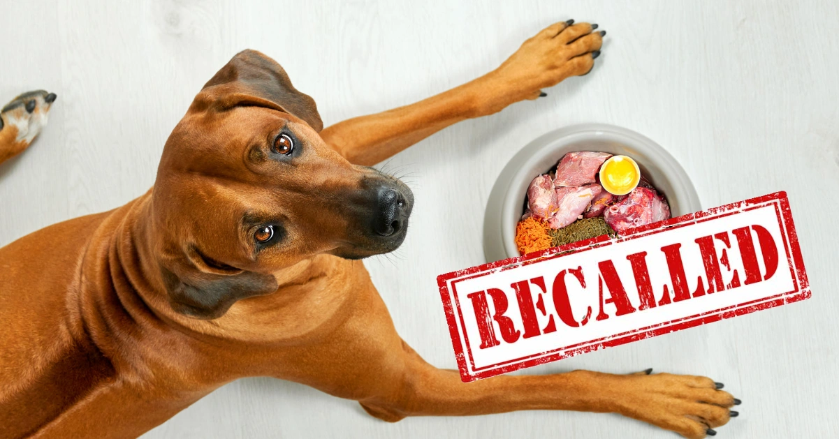 Dangerous Dog Treats Recall: FDA Warns of Salmonella Risk in 19 States