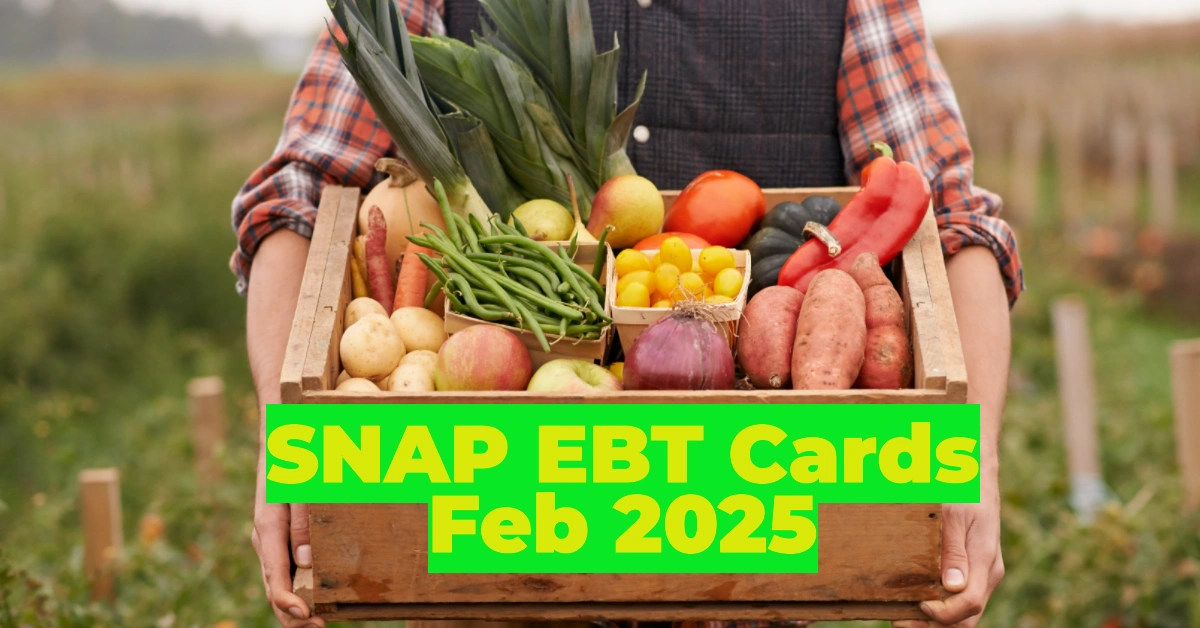 SNAP EBT Cards