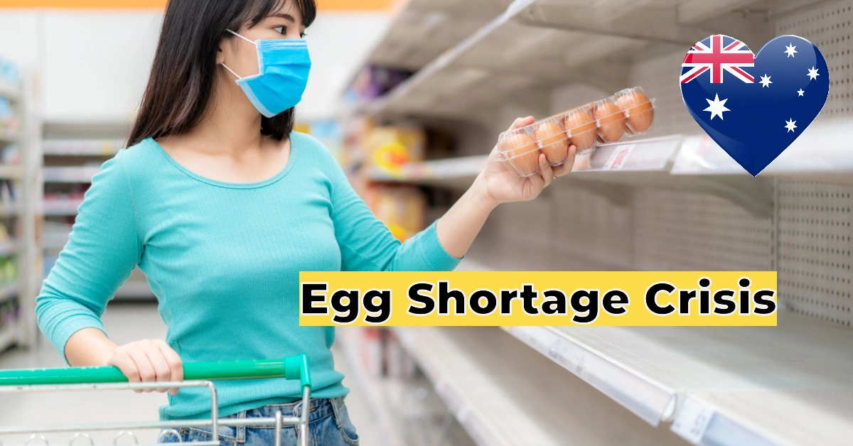 Egg Shortage Crisis Hits Australia: Why Supermarket Shelves Are Empty & Where to Find Supplies