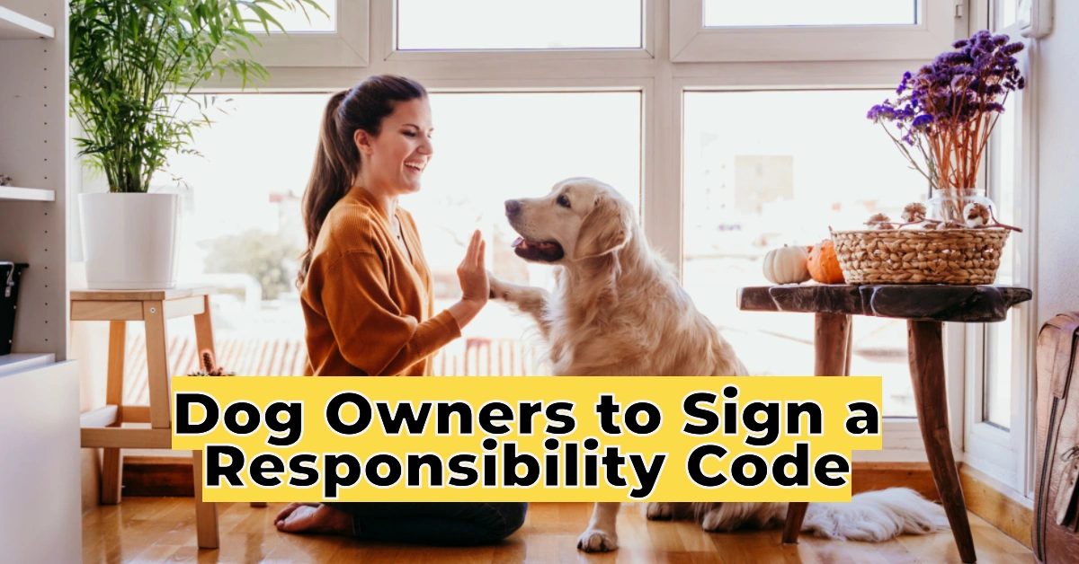 Scotland’s New Law Requires Dog Owners to Sign a Responsibility Code: What It Means for Pet Lovers