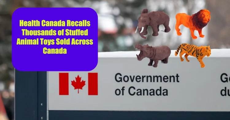 Health Canada Recalls Thousands of Stuffed Animal Toys Sold Across Canada