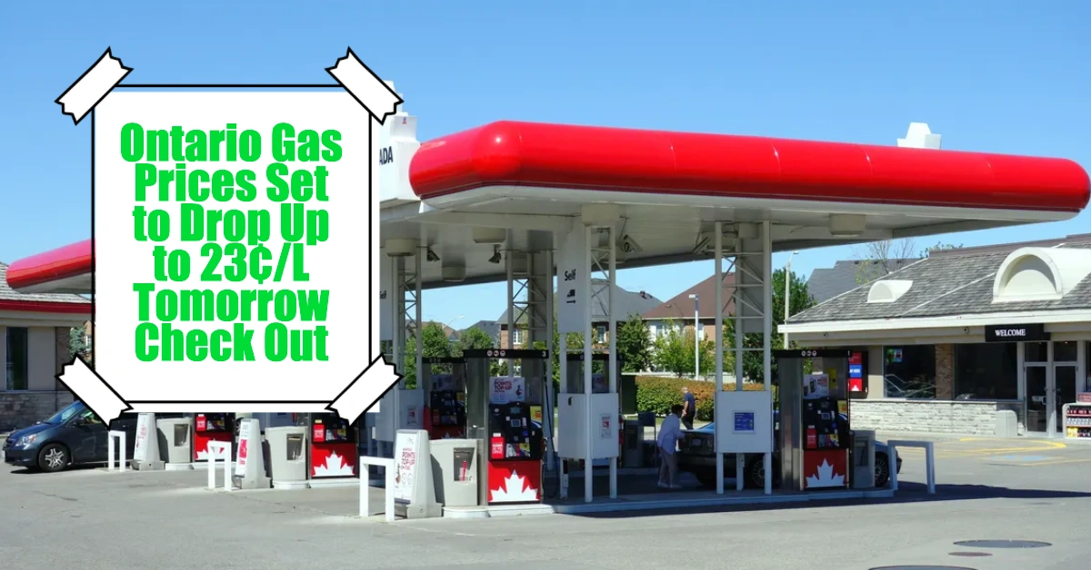 Ontario Gas Prices Set to Drop Up to 23¢/L Tomorrow Check Out the Best Places to Refuel
