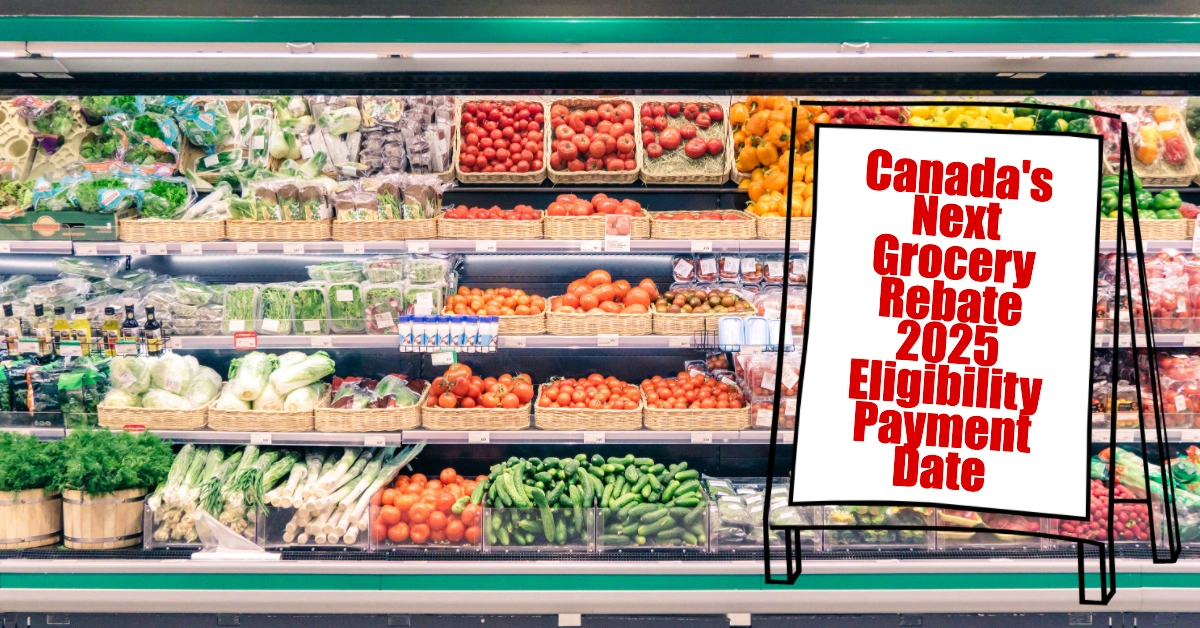 Canada's Next Grocery Rebate 2025 Eligibility, Payment Date, and Amount Details