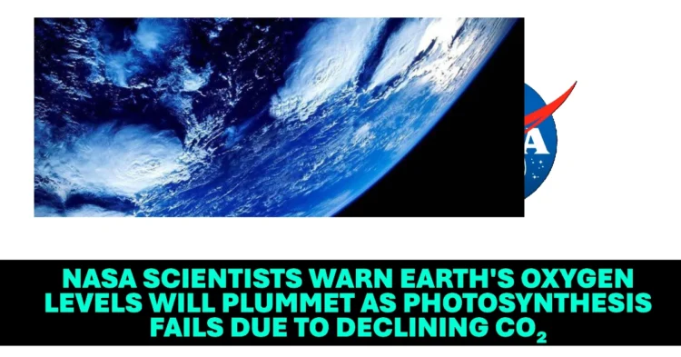 NASA Scientists Warn Earth’s Oxygen Levels Will Plummet as Photosynthesis Fails Due to Declining CO₂